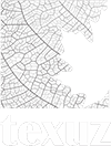 TEXUZ Logo